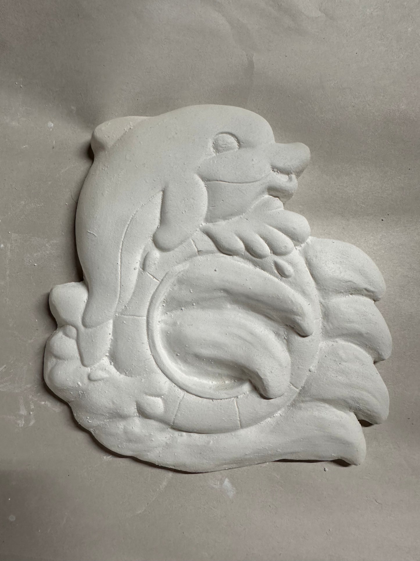 Dolphin water