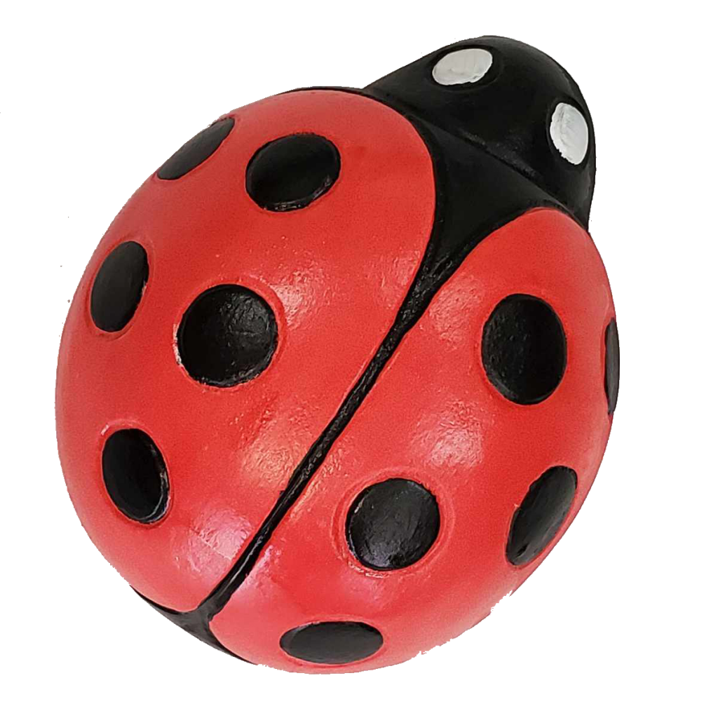 Ladybug