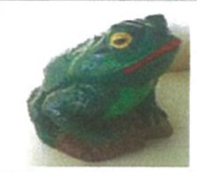 Frog 3d