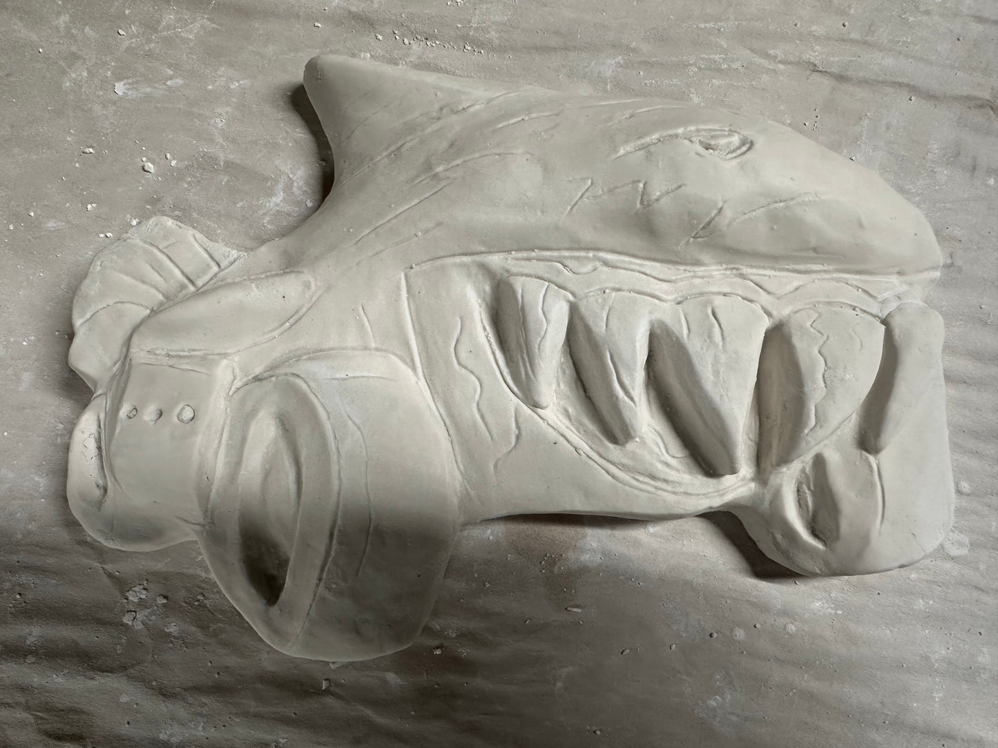 Car shark
