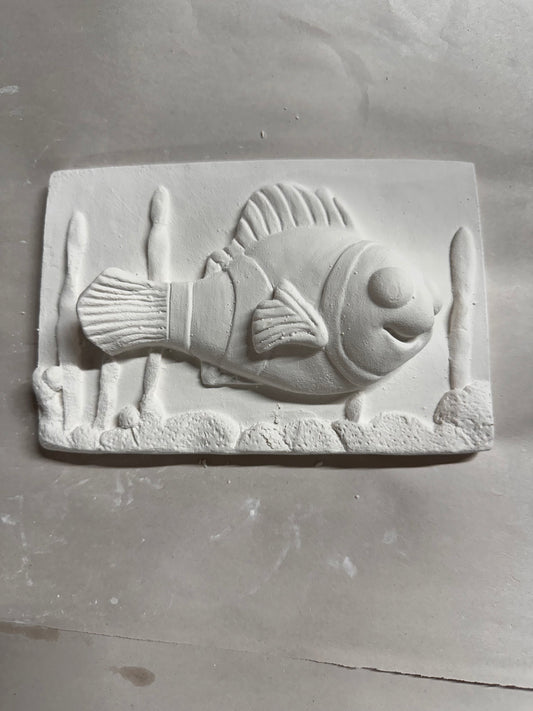 Fish in fish tank