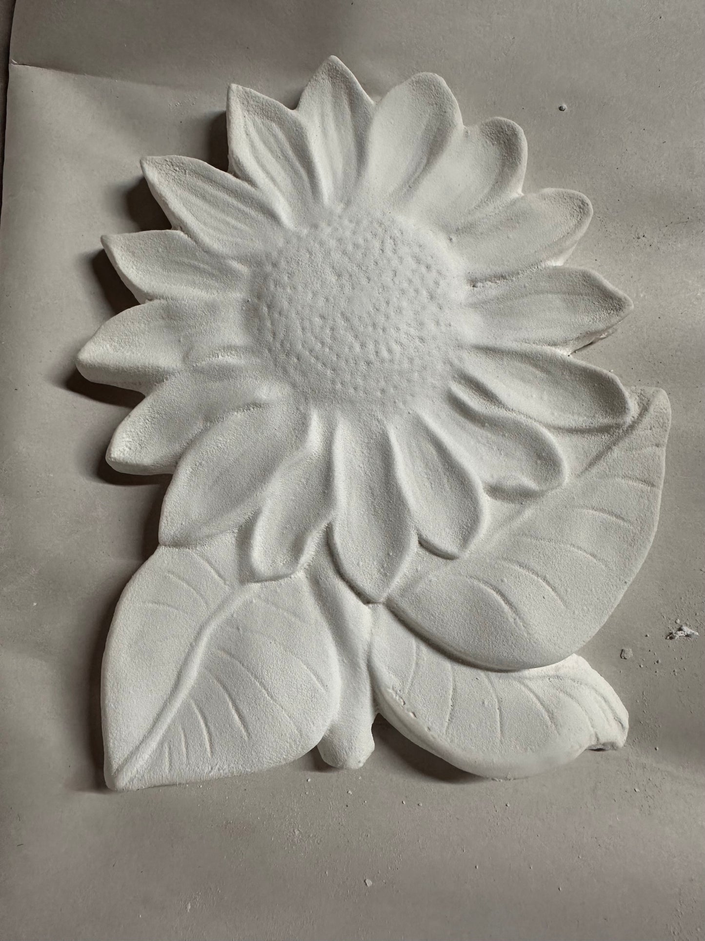 Sunflower stem