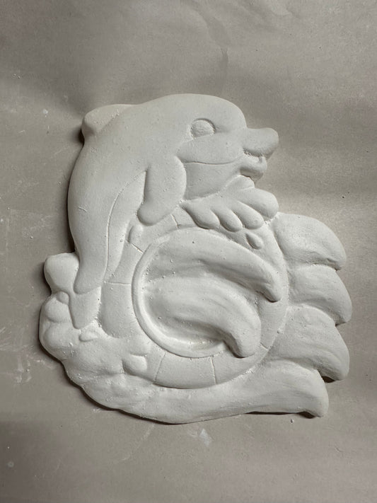 Dolphin water