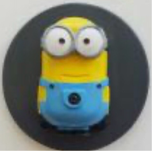 Minion