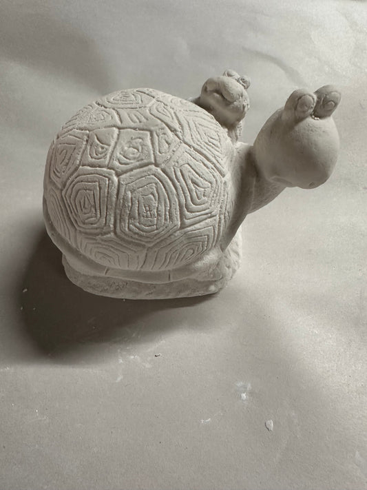 Turtle frog on back