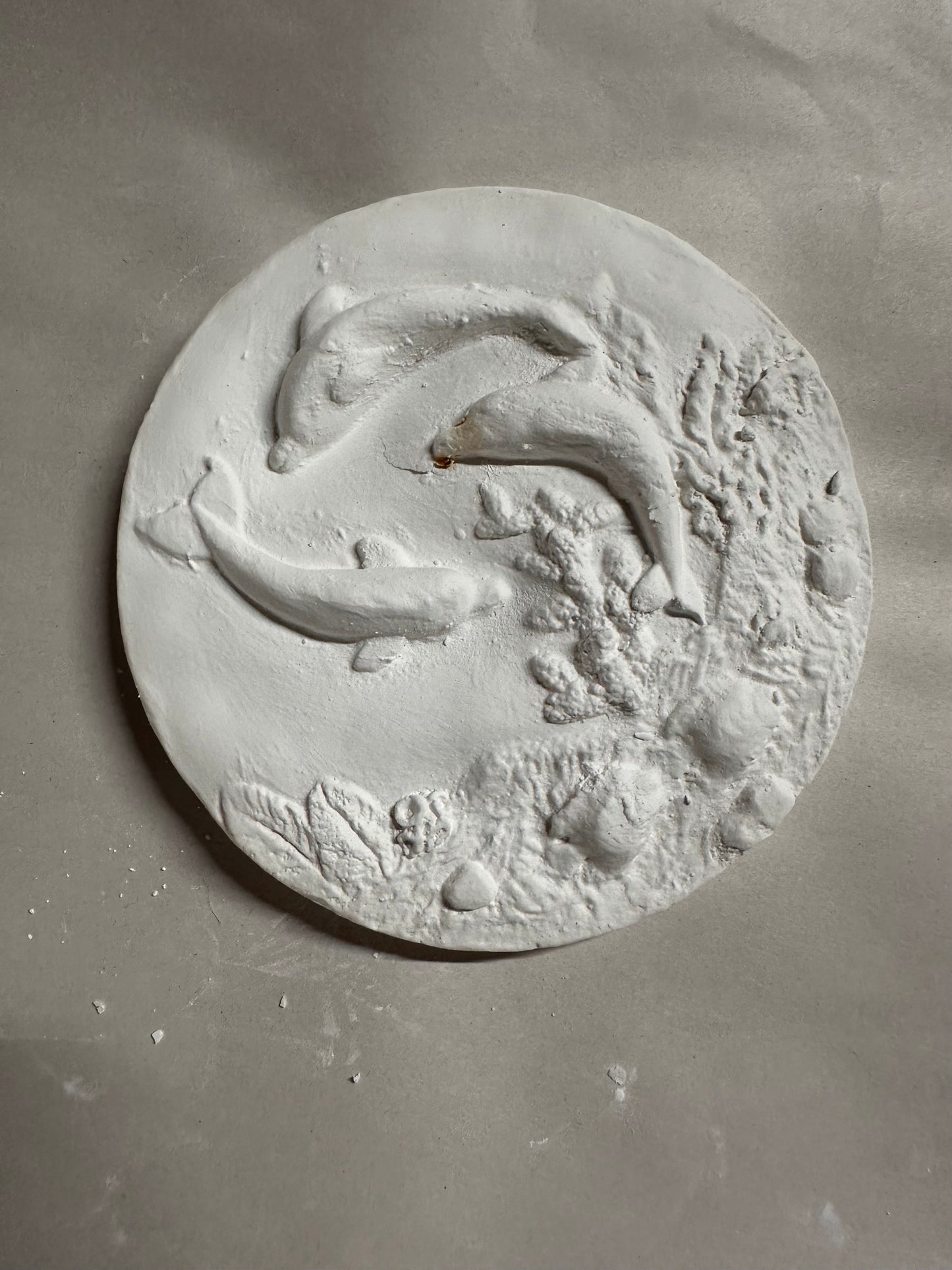 Round dolphins