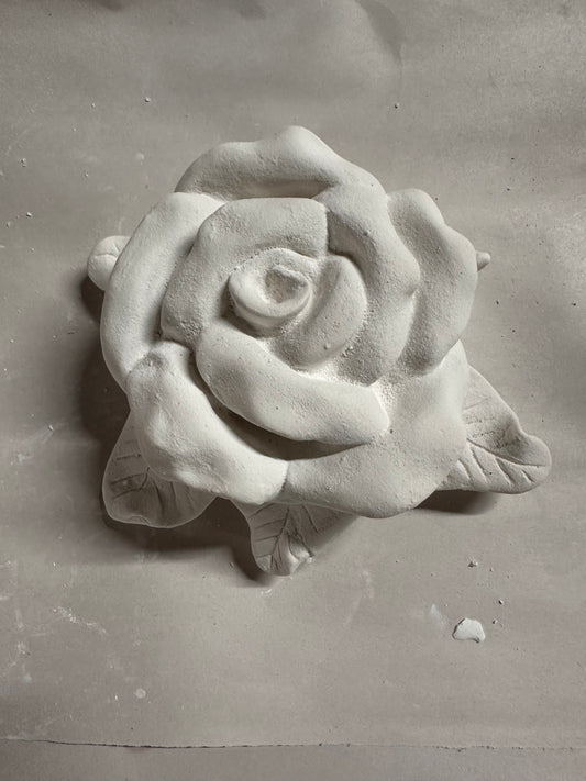 Rose bud