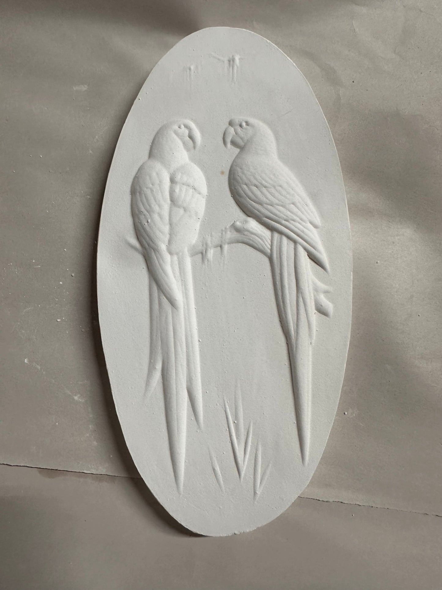 Oval birds