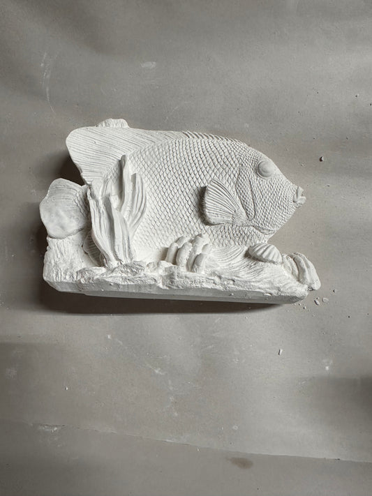 Fish coral 3d