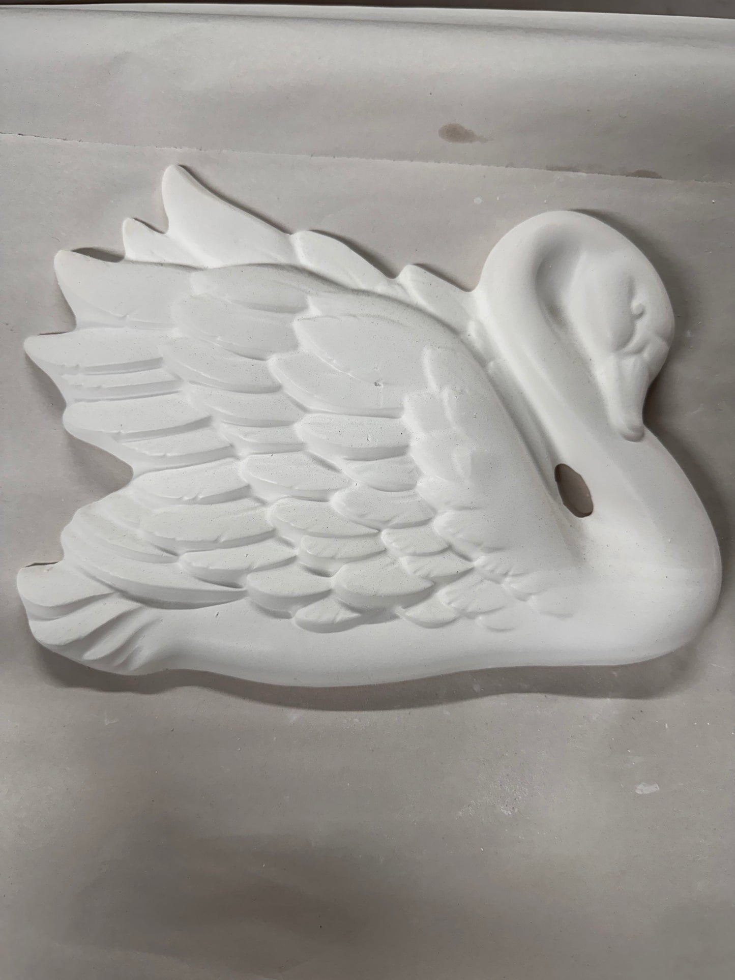 Swan