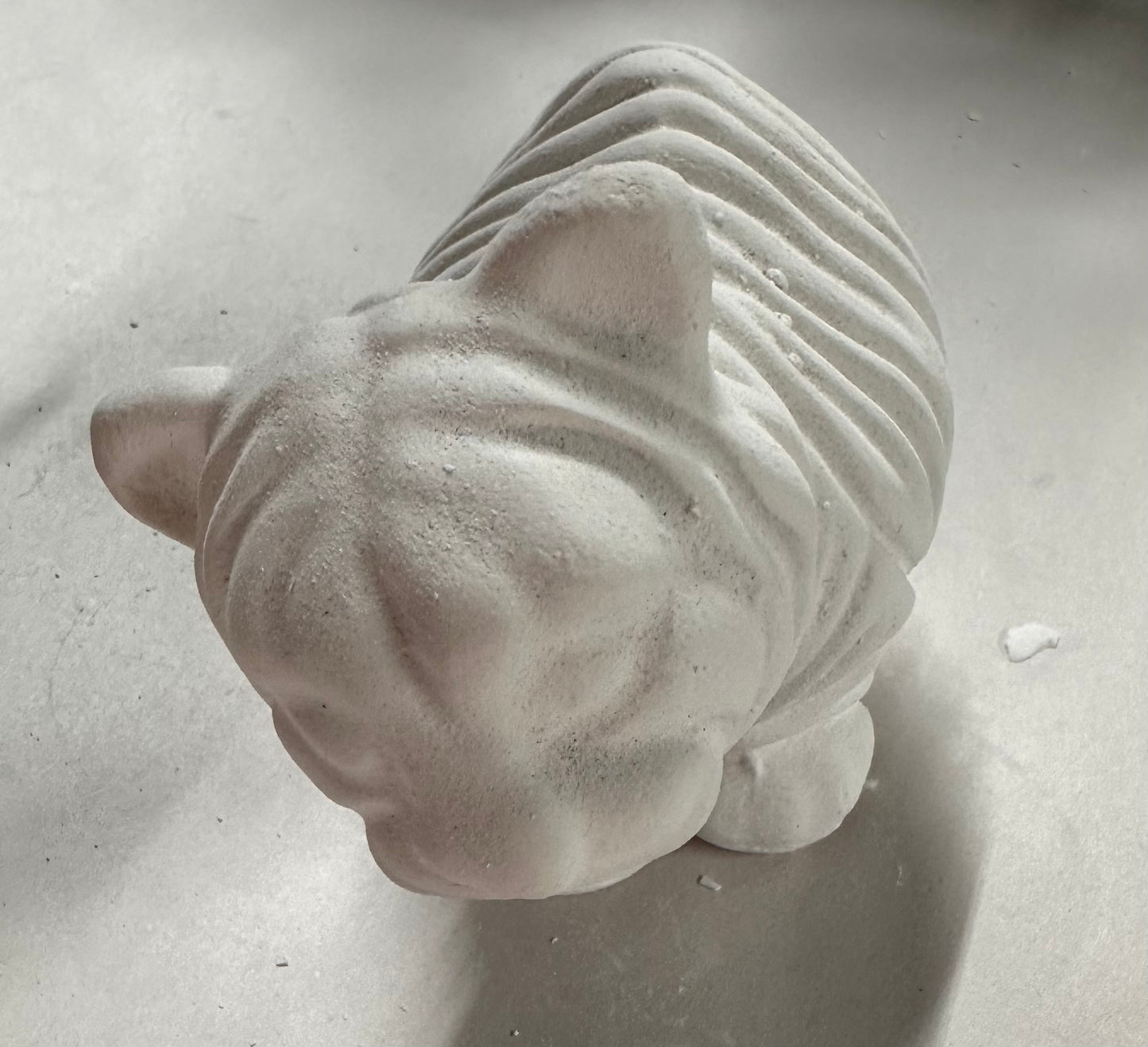 Tiger cub