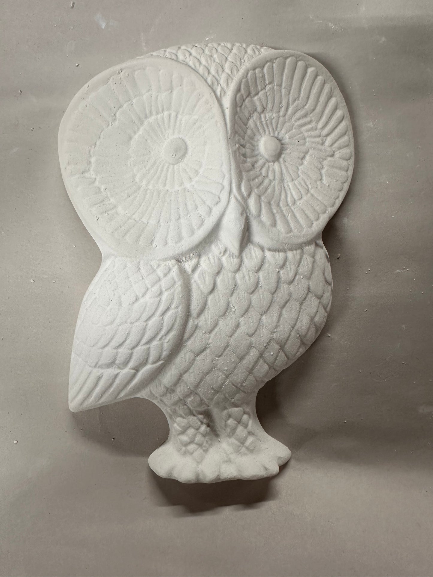 Owl big eyes
