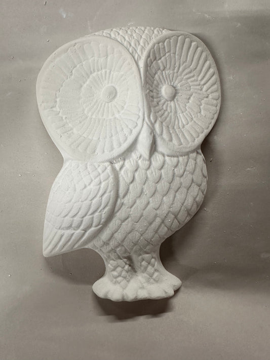 Owl big eyes