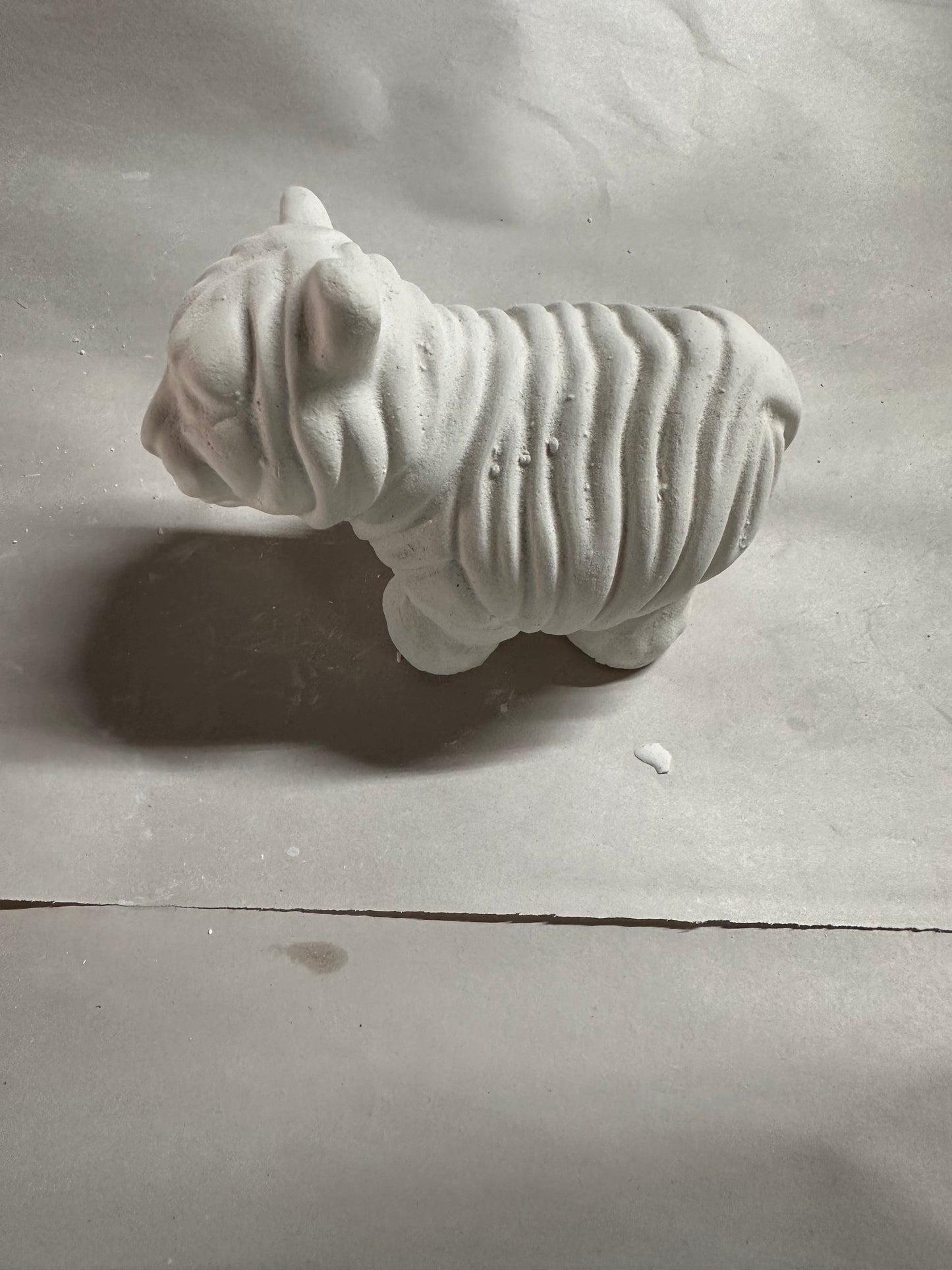 Tiger cub