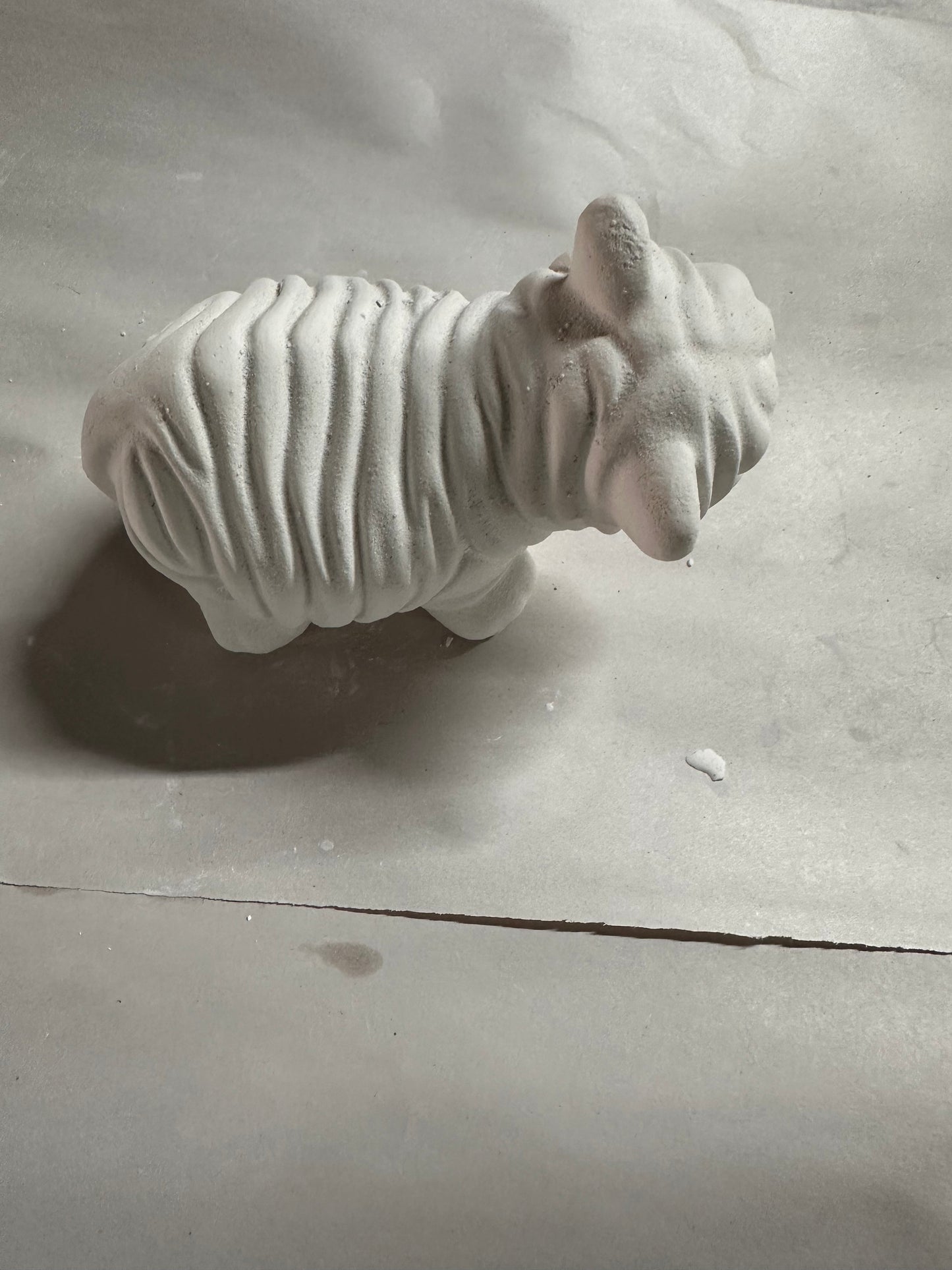 Tiger cub