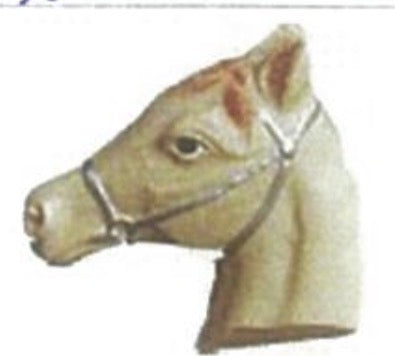 Horse head