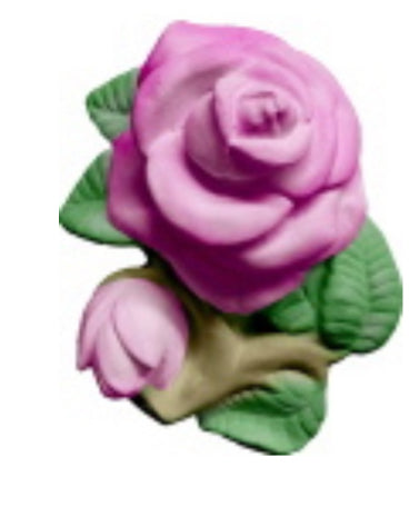 Rose w/leaves