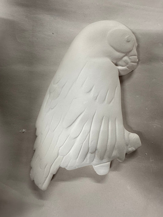 Parrot