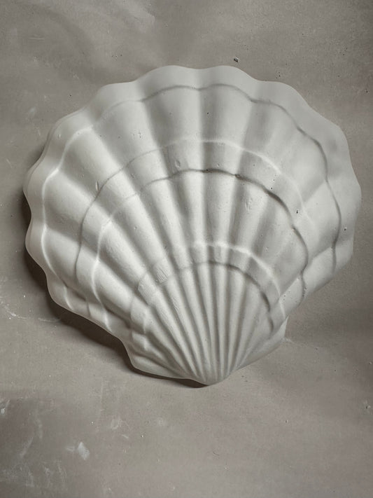 Seashell