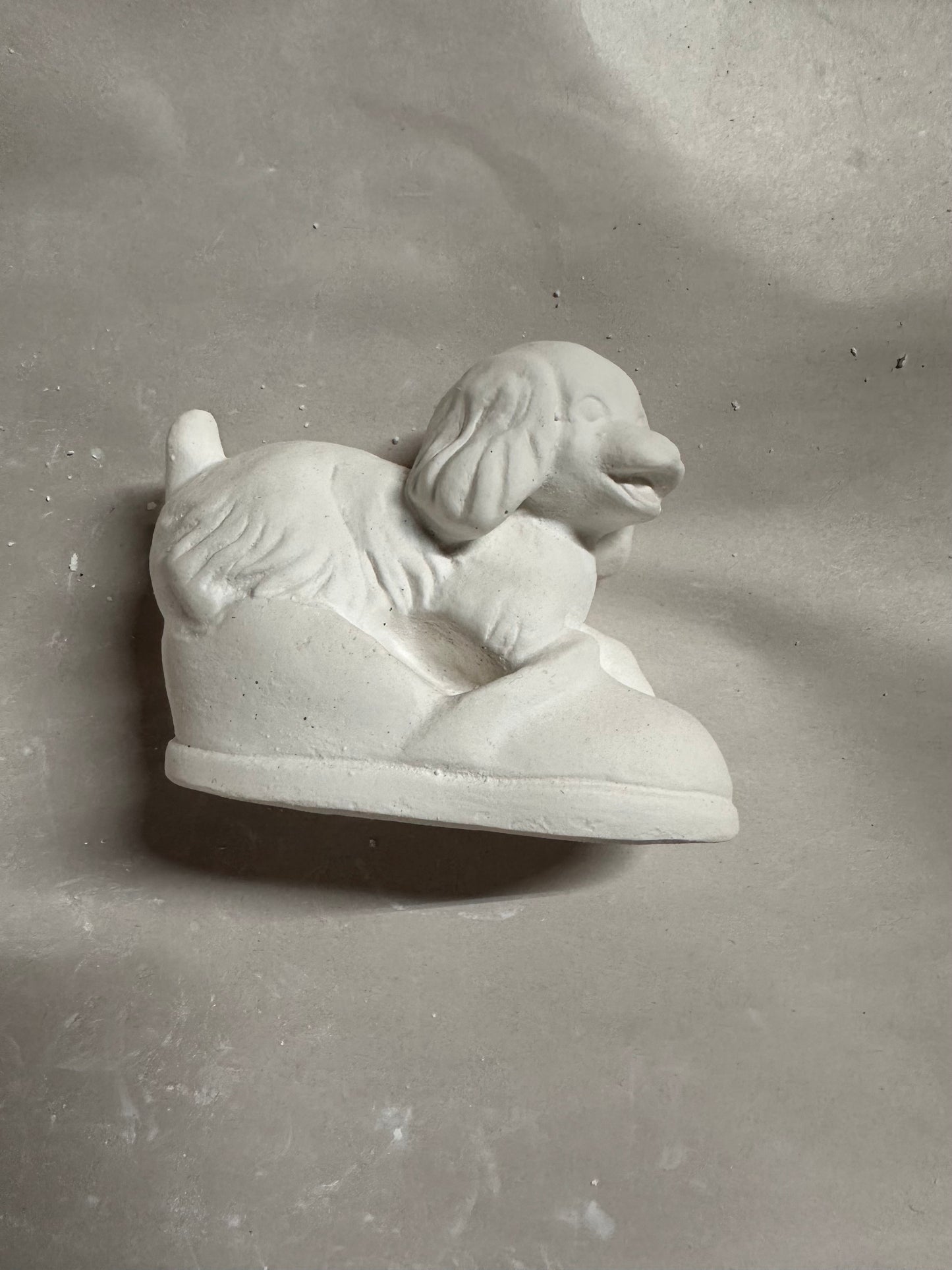 Dog in slipper
