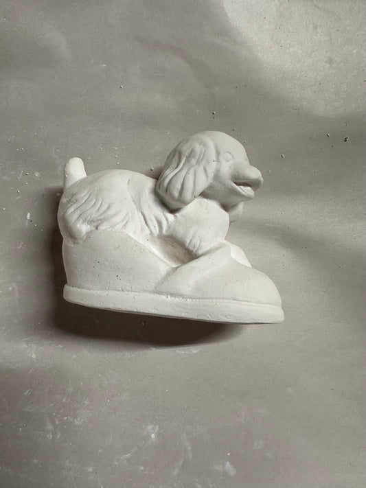 Dog in slipper