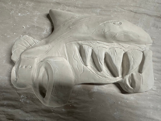 Car shark