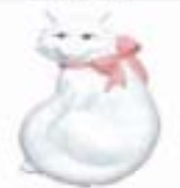 Cat curled tail